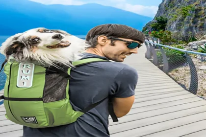 dog travel suitcase