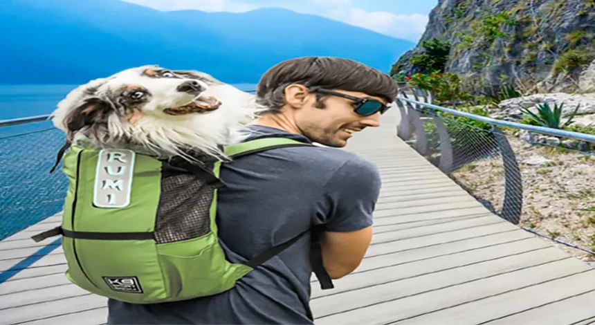 dog travel suitcase
