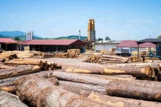 Woodworking Odoo ERP System to Optimize Production and Reduce Waste | Bizople