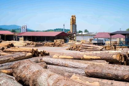 Woodworking Odoo ERP System to Optimize Production and Reduce Waste | Bizople